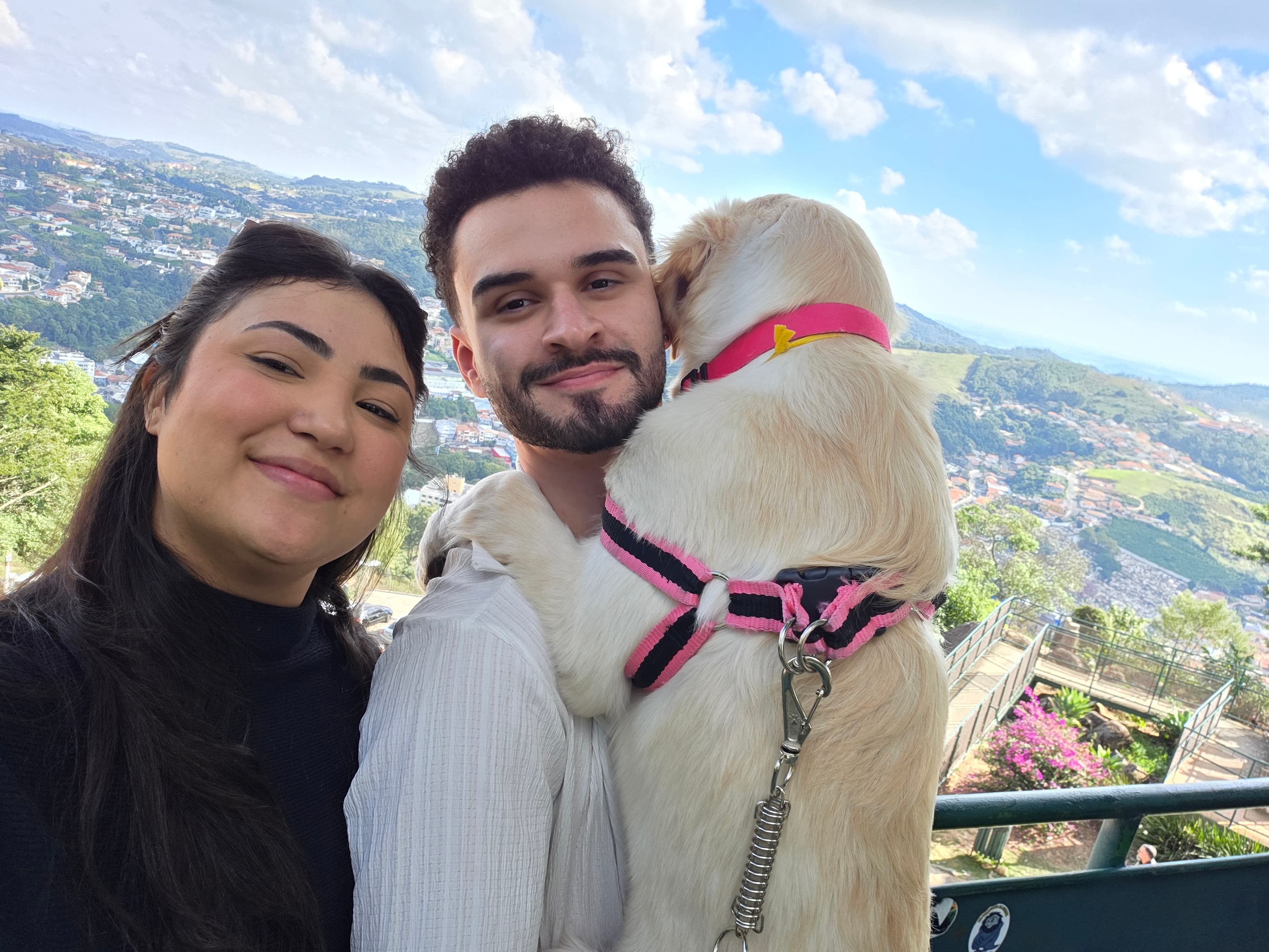 Cachorro passeando ao ar livre com vista para a cidade